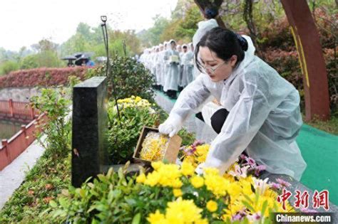 草坪葬|让生命“终归”自然 生态葬如何走得更远？